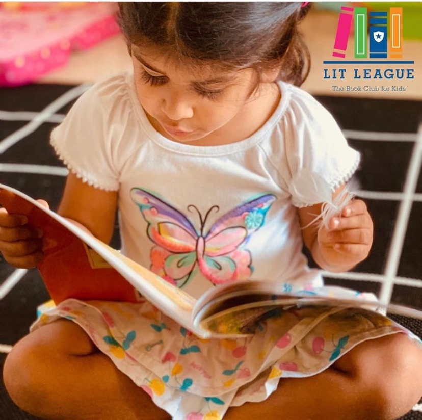 The Day the Goose got Loose Activity Box