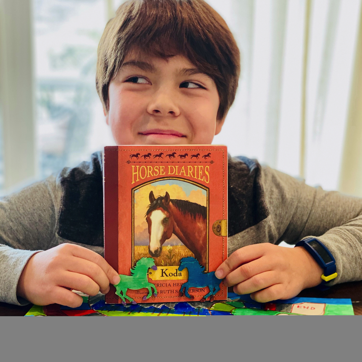 Horse Diaries: Koda Early Chapter Book Activity Box