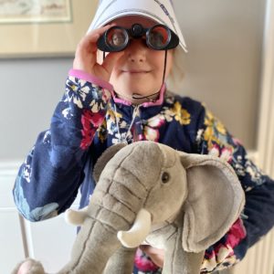 Flat Stanley: The African Safari Discovery Early Chapter Book Activity Box