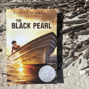 The Black Pearl Chapter Book Activity Box
