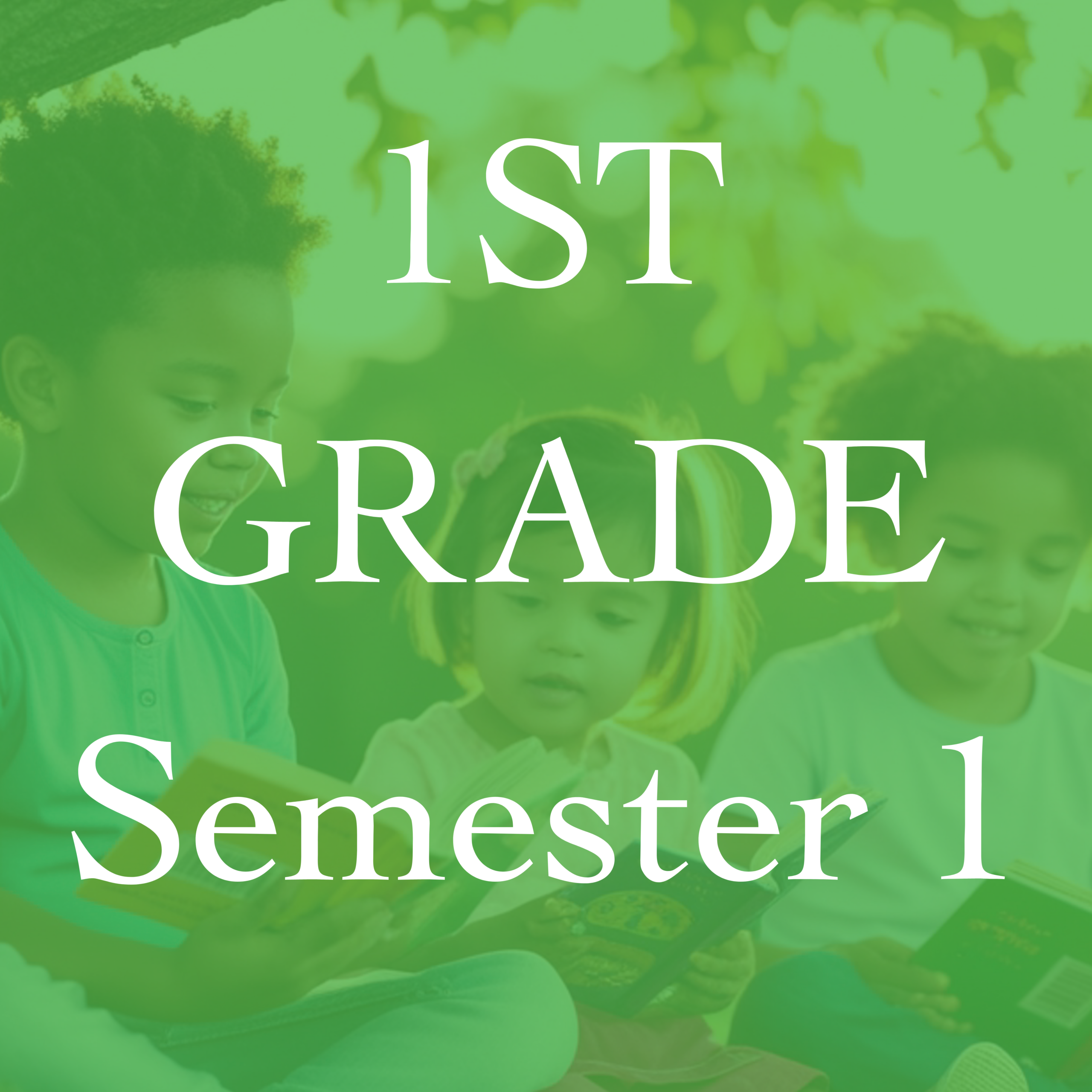 1st Grade Semester 1