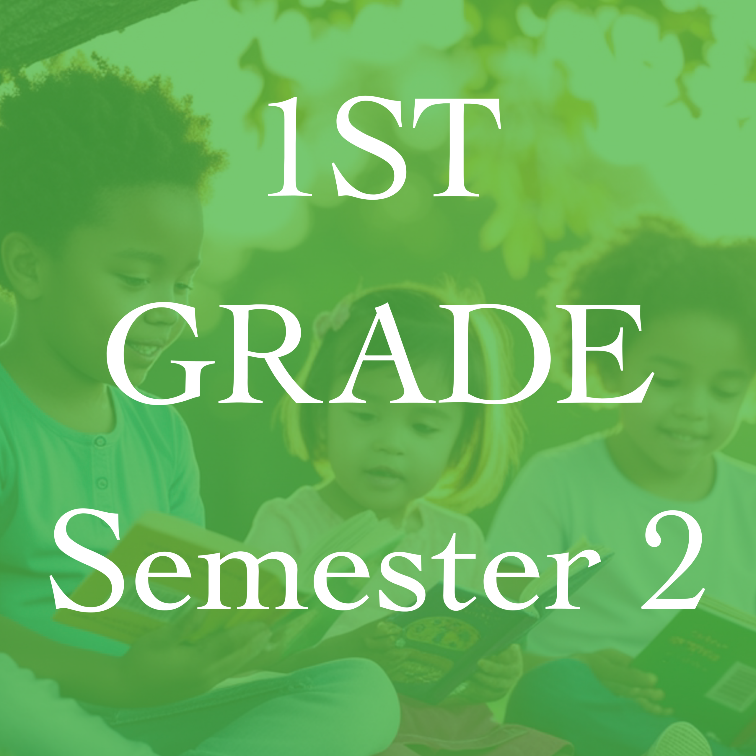 1st Grade Semester 2